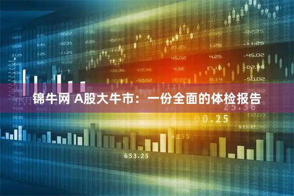 锦牛网 A股大牛市：一份全面的体检报告