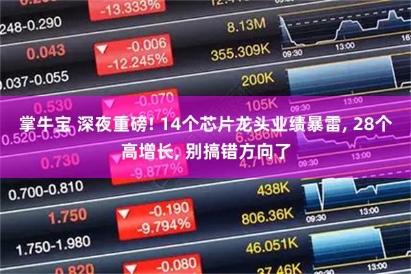 掌牛宝 深夜重磅! 14个芯片龙头业绩暴雷, 28个高增长, 别搞错方向了