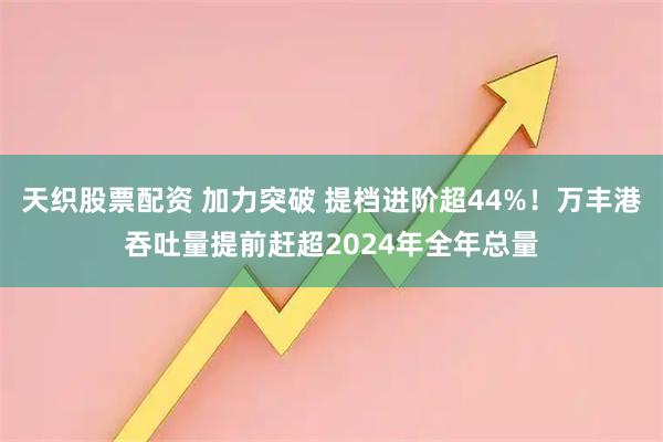 天织股票配资 加力突破 提档进阶超44%！万丰港吞吐量提前赶超2024年全年总量