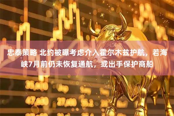 忠泰策略 北约被曝考虑介入霍尔木兹护航，若海峡7月前仍未恢复通航，或出手保护商船