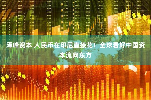 泽峰资本 人民币在印尼直接花！全球看好中国资本流向东方